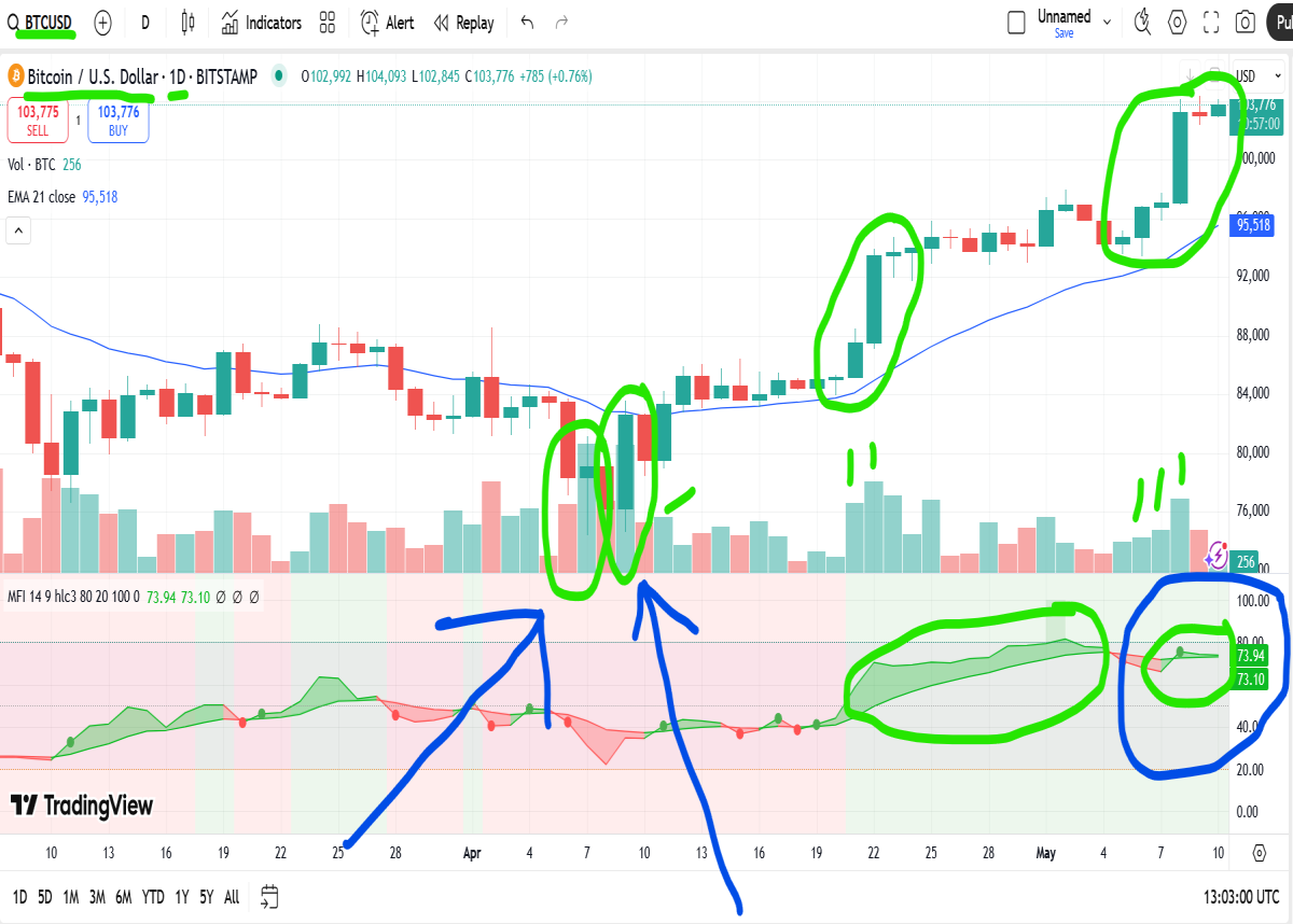bitcoin daily chart