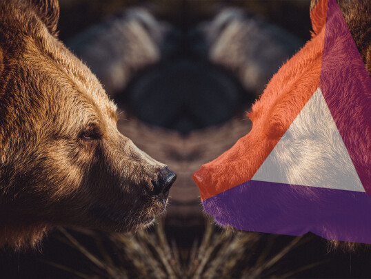 Bearish On Bat