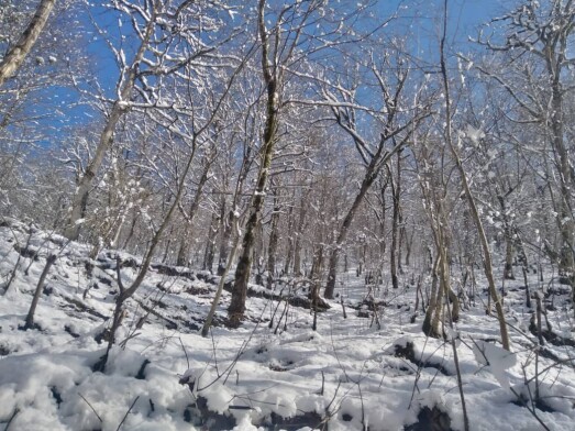 We Passed The Blossoms &amp; Reached The Frozen Mountain Road