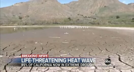 Heat waves 12