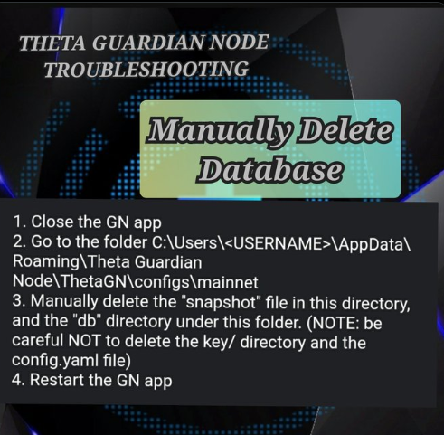 Theta Guardian Node Manually delete Databse