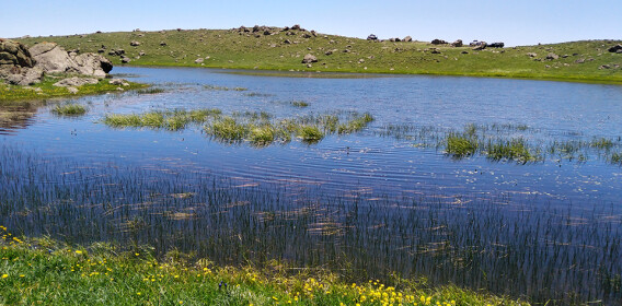 Charming Pond in The Highest Mountain of Talesh, Guilan, Iran