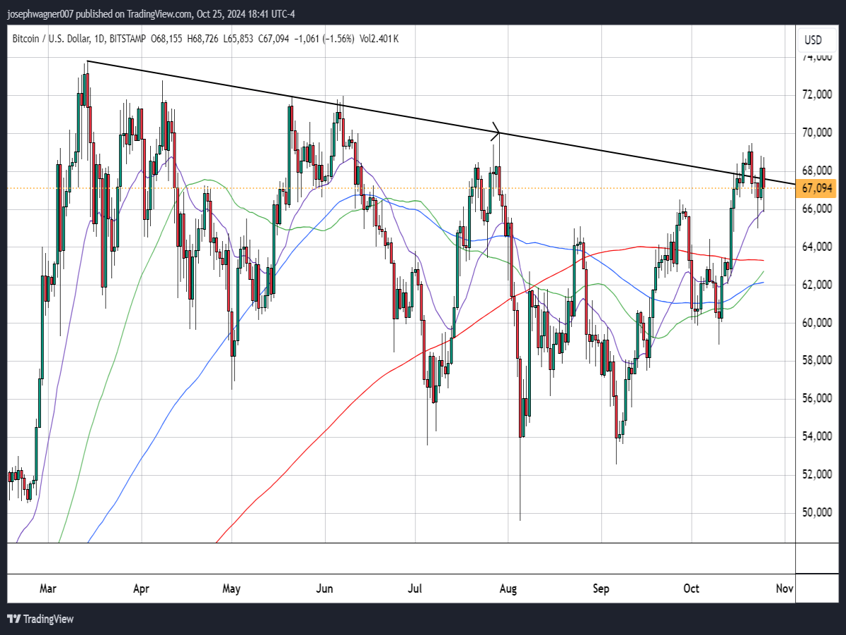 daily btc