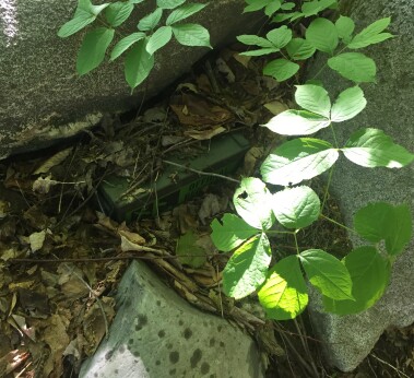 Ammo can geocache find