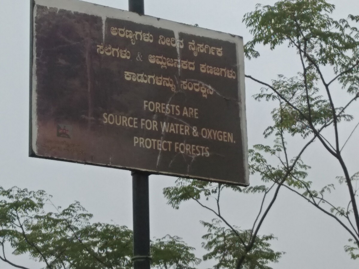 travel, photography, india, nature, lifestyle