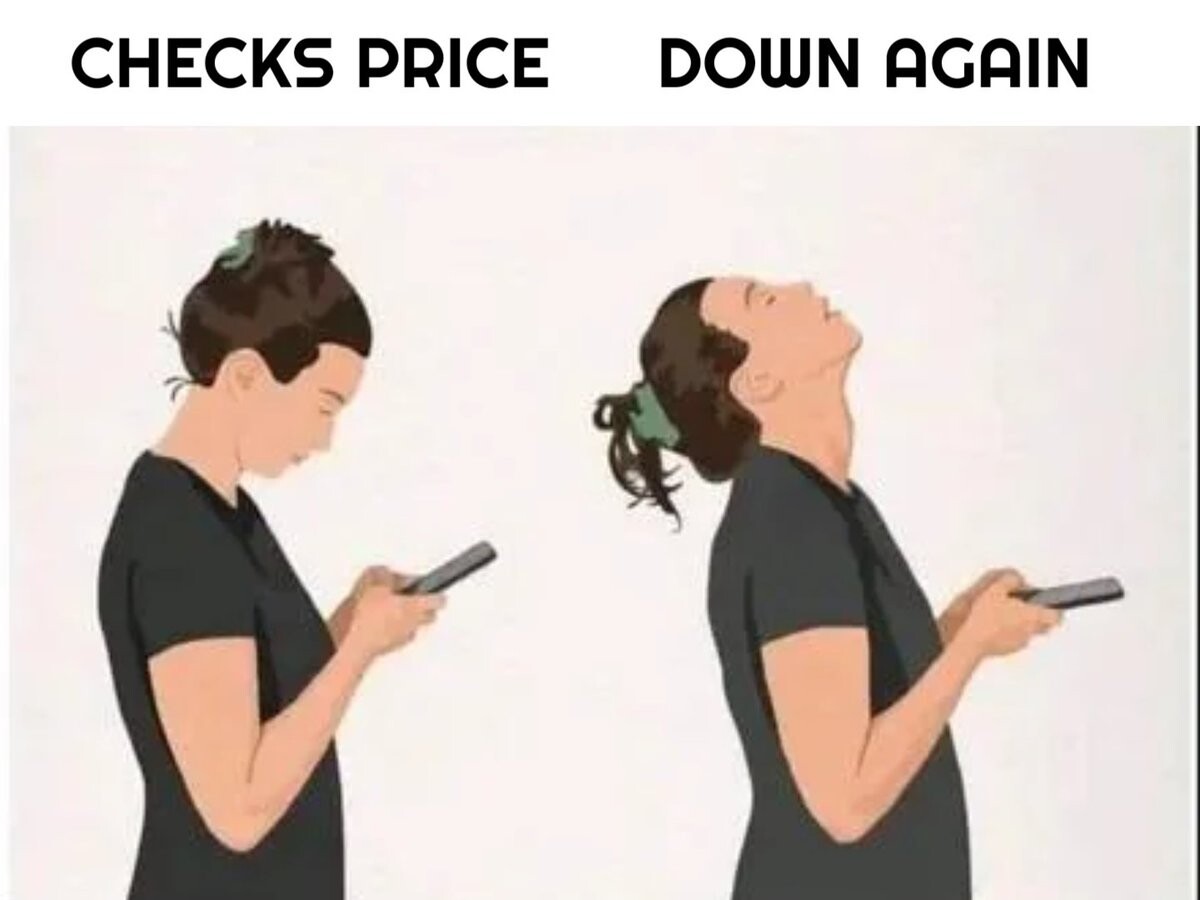 7335221d3247b053fae4ccccf6eb20942dcd9978594ab40ee4d47009c3d5c74c.jpg