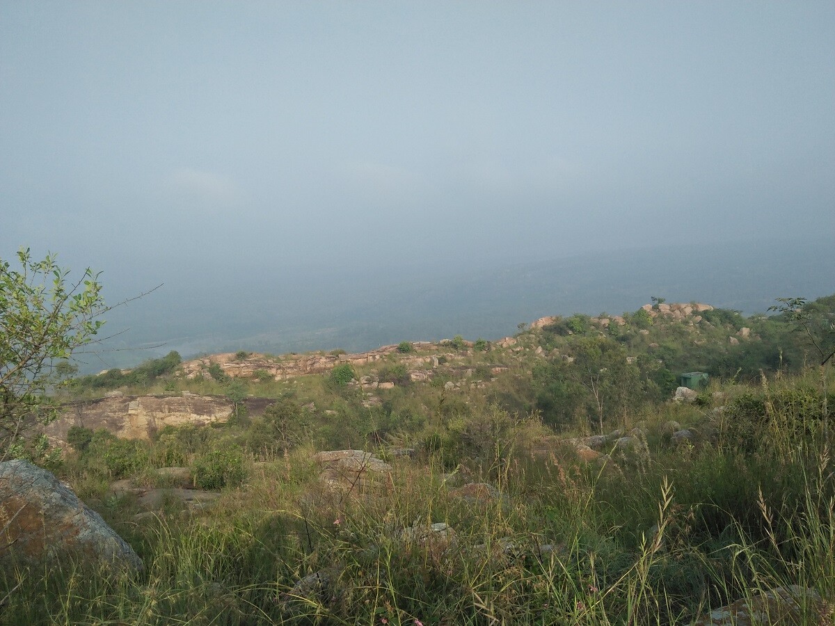 travel, photography, india, nature, lifestyle