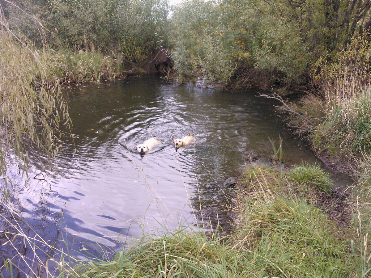 In The Water. . .  brrrrr chilli here