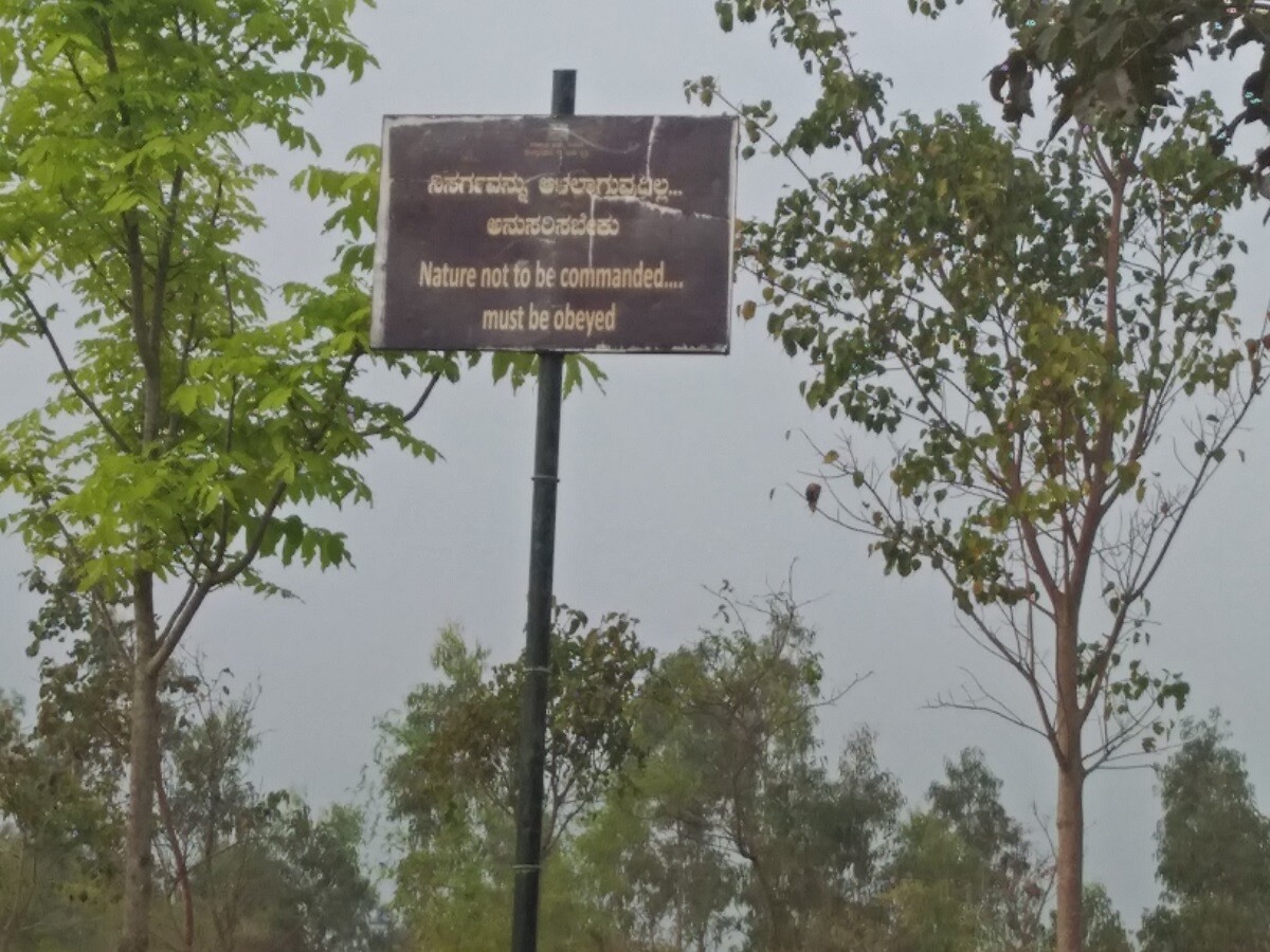 forests, travel, nature, india, photography