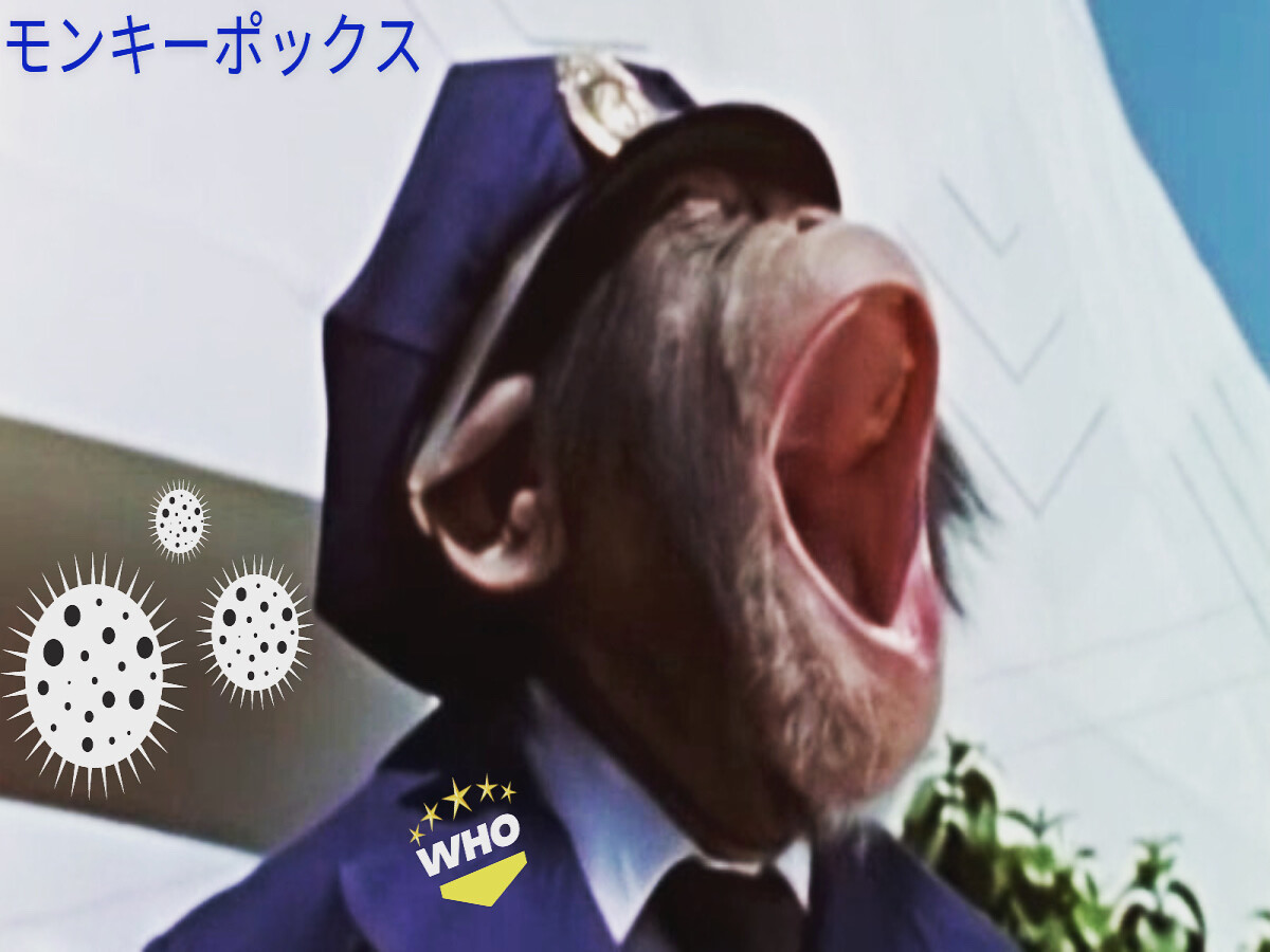 f3065d60e5ae7975ecc483806d1b45662da4b48bd48e36d7e6012b23a0dbbef1.jpg