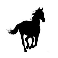 Dark Horses for 2020