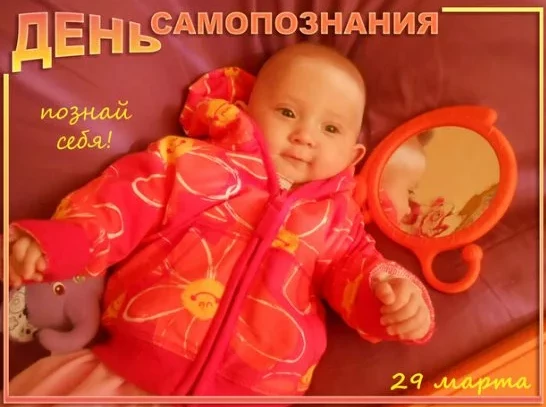 34384d74ddc79d28f16681d842e9d8221372736eaff964488e71810fffad7e68.png