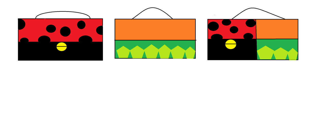 d7217dffec7ae4b7245404109554c7e9c2757080752ea42d5177be3ec5389a2e.png