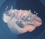 e279f2ff94cc4a34afa14b7c70508b88d72cd1964b42fefd9f5ea81381f5df7d.png