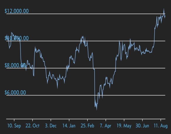 Bitcoin one year chart