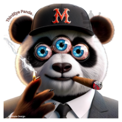 ThirdEye Panda All Rights Reserved 2024