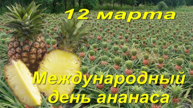 52e966087de40e4fbb41deb9fec90d3261c13225f6f57e3726405277d78b2e70.jpg