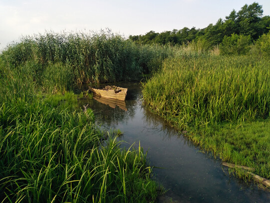 Guilan, Iran