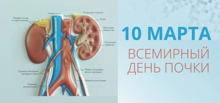 d66a68e68ebe5e2de1c35b74b15d119173477f1503352c7857bda9561ffe4cf4.jpg