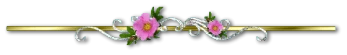 26c39d847d68edb7c0e7c16b1788a32fb3ebebb10dd190e0f9f49be3692cabb3.png