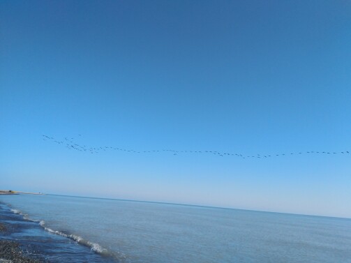 The Story of Cycling | As Migratory Birds Fly Over The Endless azure