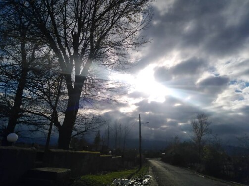 Sport, Cycling, Photography of  Nature