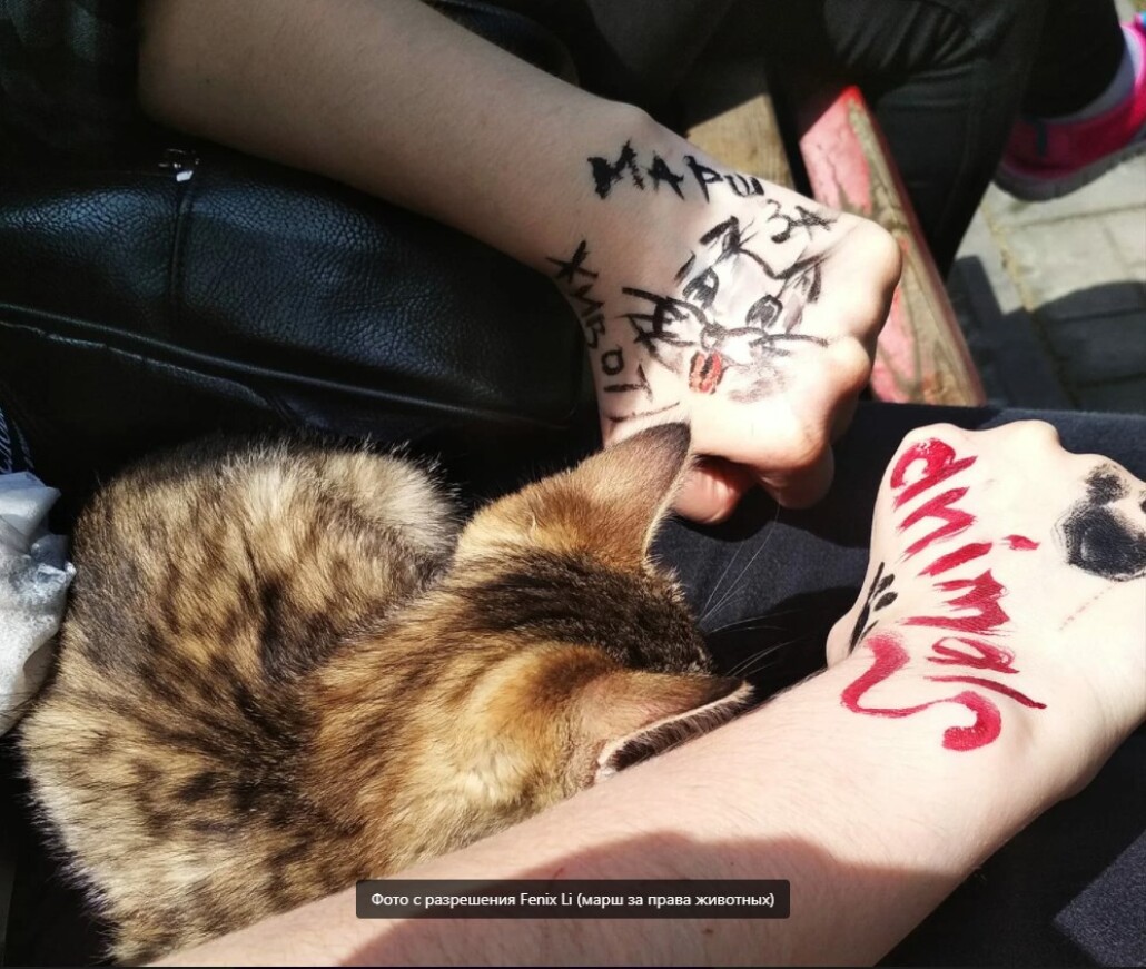Animal protection
