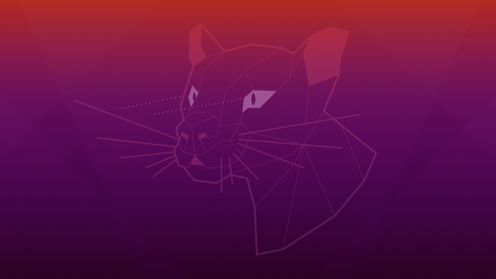 Ubuntu Focal Fossa