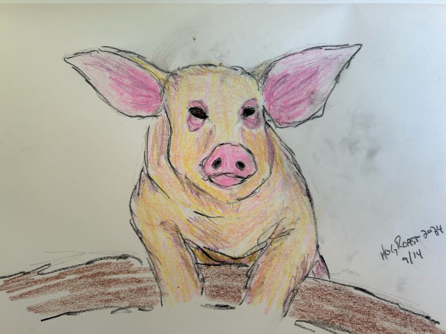 Picture of a pig - crayon, charcoal, graphite