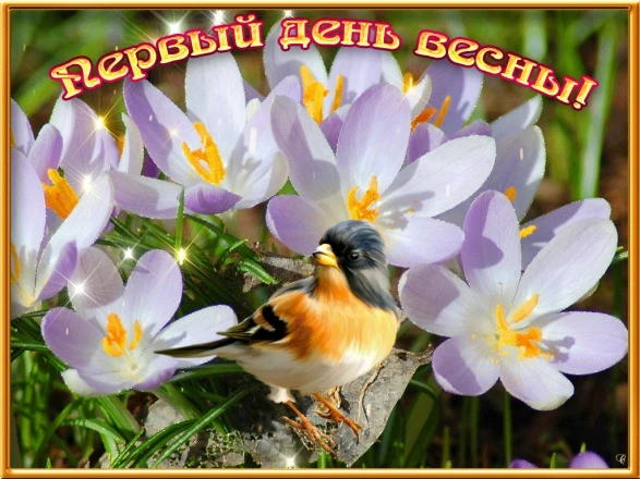 2d5eb8dfd15f09f7541f872125e0be4dada727334265fe2bf64ee2677e7e2a6d.jpg