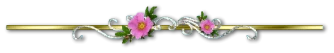 26c39d847d68edb7c0e7c16b1788a32fb3ebebb10dd190e0f9f49be3692cabb3.png