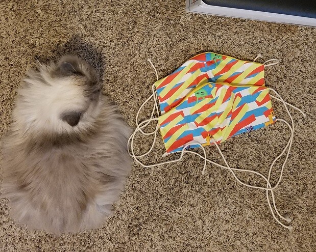 Gitzy the cat and my new masks