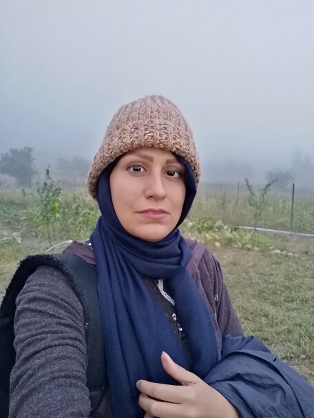 Photography of Nature , The Story of Fog