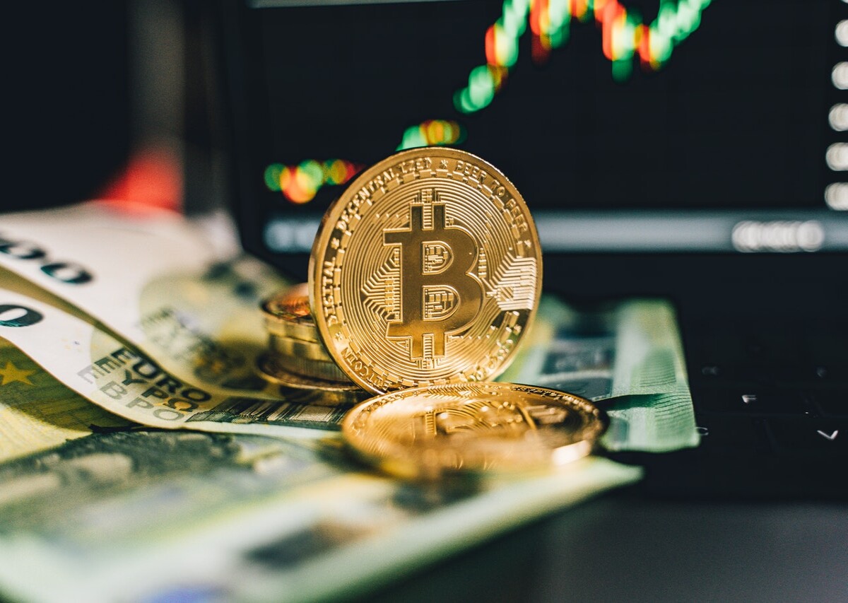 01d70801e10dc22fdac9e38804147ebe55bb2729bdbdfba24c3c0316e610016b.jpg
