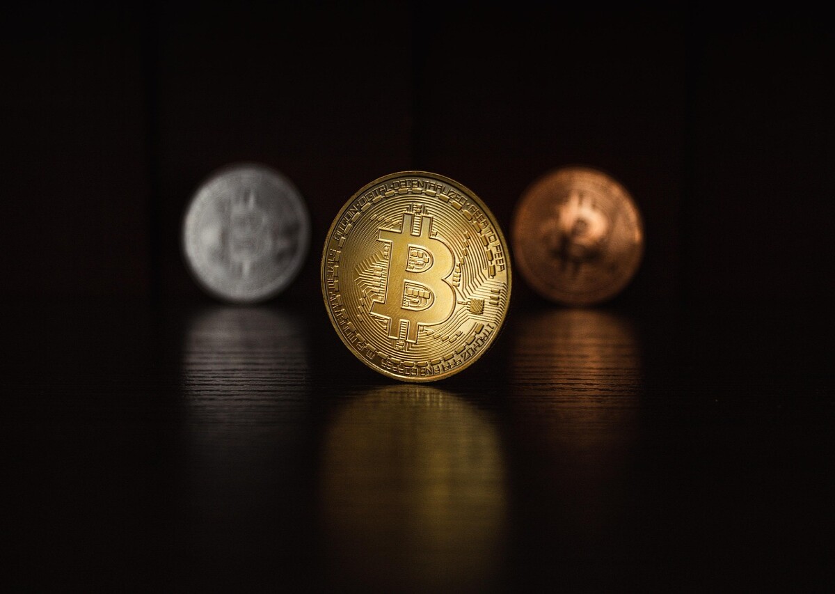 8a63eff401810e74a93e2161b9e978eaf090070bb8a56e97c481121d2982edd6.jpg