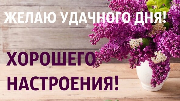 2b7e35c1cfe7d38b54cfd13e167790be4e5ae61827c93dda6337a4536a758563.jpg