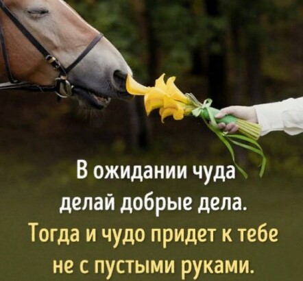 8ae5307a3736d25e707013819c1b2f871d854bf54a1cc36d720d99cebafa9320.jpg