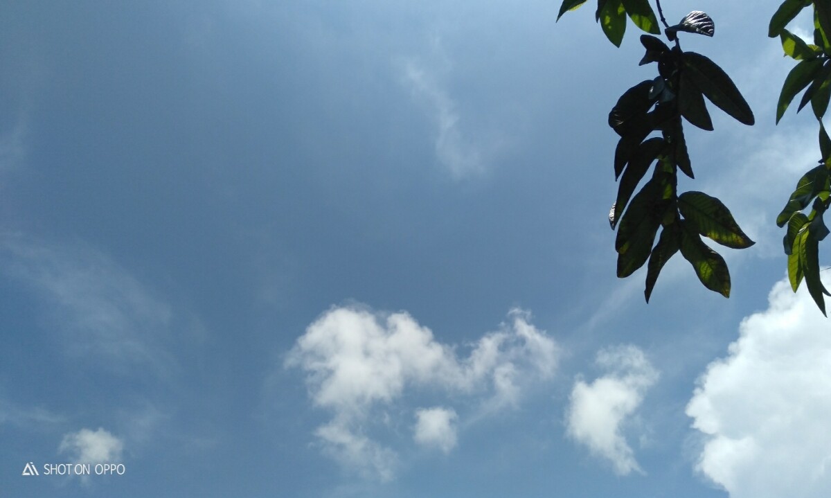 7ee032855b85ccd6320e341da70a5589ec1016d27b4d2bc6dc243a886c36492d.jpeg