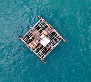 Photo of a raft by TomFisk