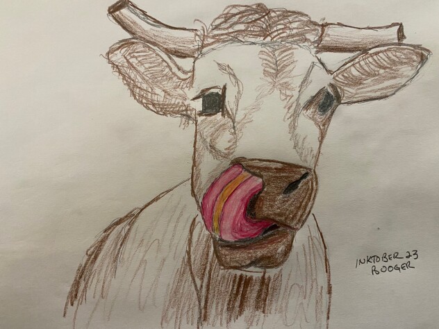 Cow sticking its tongue up its nostril - colored pencil