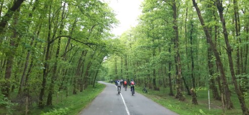 Cycling And Discovering A New Village Deep in The Forest