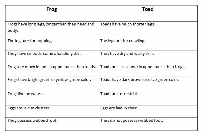 Difference between frogs and toads