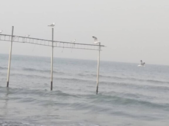 A Sunny Day, Seagulls &amp; Sightseeing on The New Beach