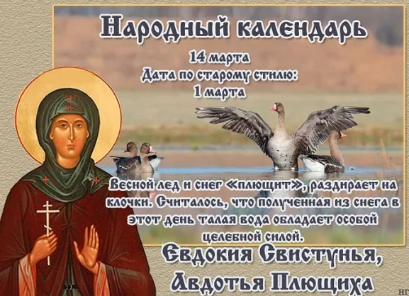 82c44eebd0653007a252410506c32c9a47e6abdd9f165e17cfa48a0d1fddbbed.jpg