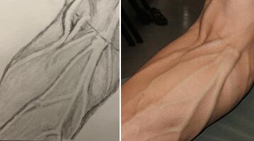 veiny forarm study in pencil compared to reference photo