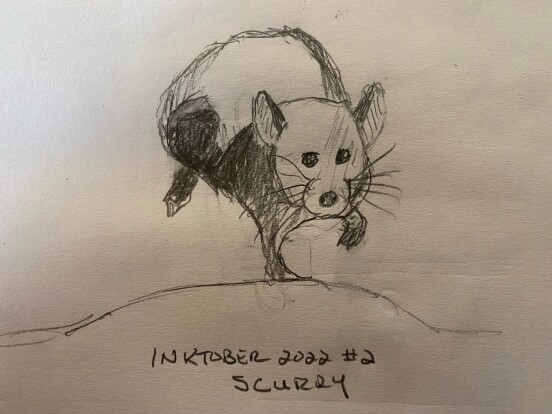Mouse running - Pencil