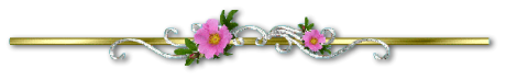 26c39d847d68edb7c0e7c16b1788a32fb3ebebb10dd190e0f9f49be3692cabb3.png