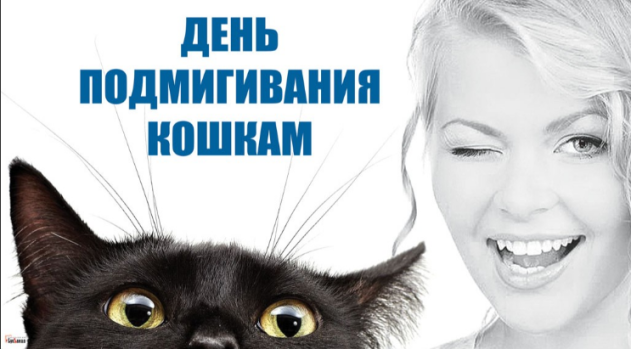 73b8a439253dd33eeaebc1bc1dde80b82332aaf0bd0079e383acf9d95f173e4f.png