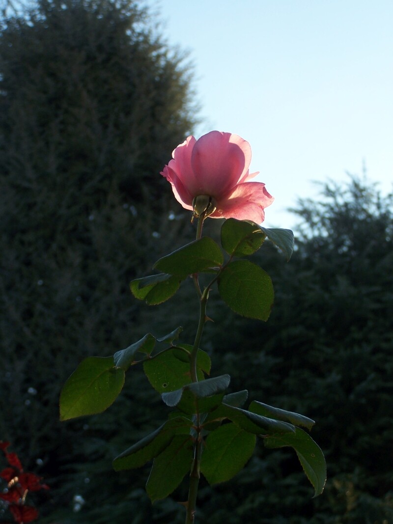 8ab25e06e281cfdd8301e5ad5797d3745ade874366aa14d962bed169cb42b90a.jpeg