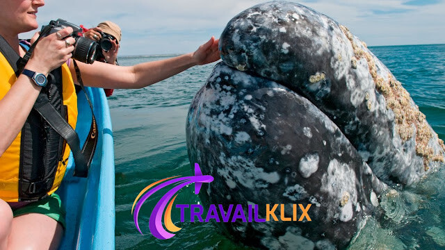 https://www.travelklix.com